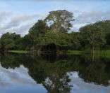 Amazônia: um bioma que merece milhões de poemas