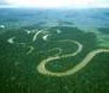 Floresta Amazônica: riqueza da biodiversidade brasileira