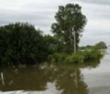 Rio do Pantanal: chuvas no verão provocam enchentes e alagamentos