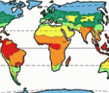Climas do mundo: grande variação climática
