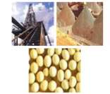 Petróleo, minério de ferro e soja: exemplos de commodities exportadas pelo Brasil