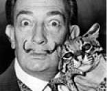 Salvador Dali: um dos principais artistas surrealistas
