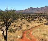 Deserto do Kalahari: o quinto maior do mundo