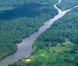 Amazonas: maior rio brasileiro