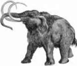 Mamute: extinção na pré-história