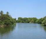 Rio Apodi: um dos principais do Rio Grande do Norte
