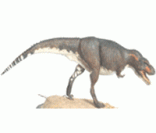 Tiranossauro Rex: carnívoro e muito feroz