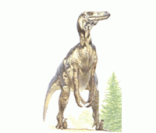 Velociraptor: carnívoro e muito veloz