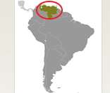 Localização da Venezuela na América do Sul