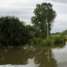 Rio do Pantanal: chuvas no verão provocam enchentes e alagamentos