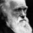 Charles Darwin: criador do evolucionismo