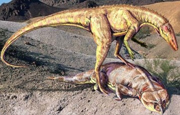 Ilustra&ccedil;&atilde;o de um Estauricossauro sobre um Rincossauro