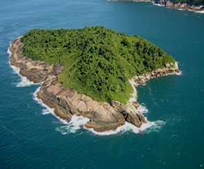 Foto aérea de uma ilha com vegetação