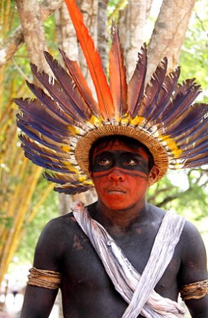 Foto de um ind&iacute;gena brasileiro com um cocar de penas coloridas e com pintura no corpo.