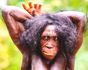 Imagem mostrando como seria (reconstrução) um Australopithecus Sediba