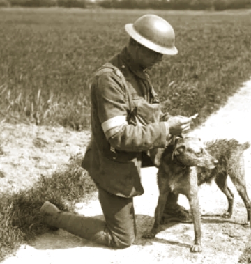 Soldados com c&atilde;o usado na Primeira Guerra Mundial