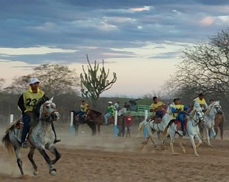 Foto mostrando cavaleiros se preparando para uma Vaquejada