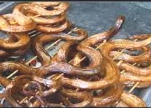 Cobras numa espécie de churrasqueira na China