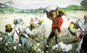 Pintura mostrando escravos trabalhando na colheira do algodão