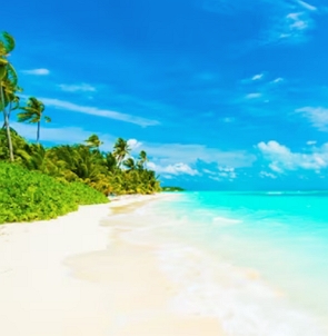 Foto representando o clima tropical com palmeiras e uma praia num dia de céu azul e sol.