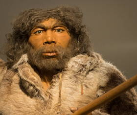 Reconstituição da face do Homem de Neandertal