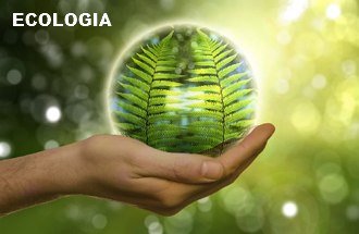 Imagem de uma m&atilde;o segurando uma esfera formada por plantas