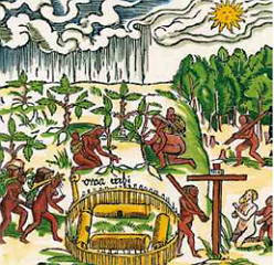 Ilustração de Hans Staden sobre os índios tupis