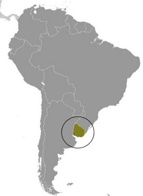 Mapa da América do Sul destacando o Uruguai com um circulo.