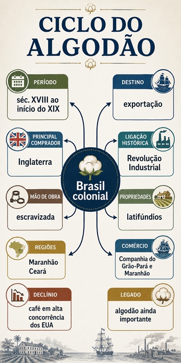 Mapa Mental sobre o Ciclo do Algod&atilde;o