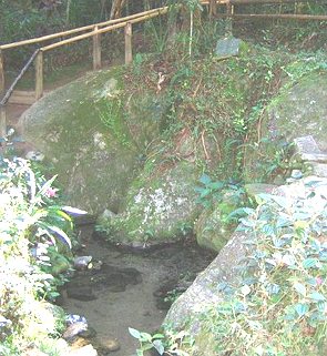 Nascente do rio Tetê em Salesópolis