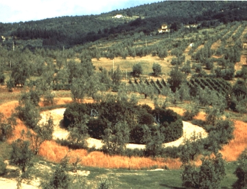 C&iacute;rculos do Tempo, exemplo de obra de Land Art