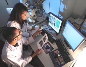 Dois cientísticas em um laboratório em frente a telas de computador