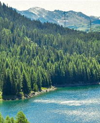 Foto mostrando montanhas, vegetação e rio