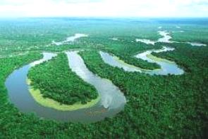 Vista aérea de um trecho do rio Amazonas