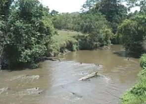 Rio São Bartolomeu